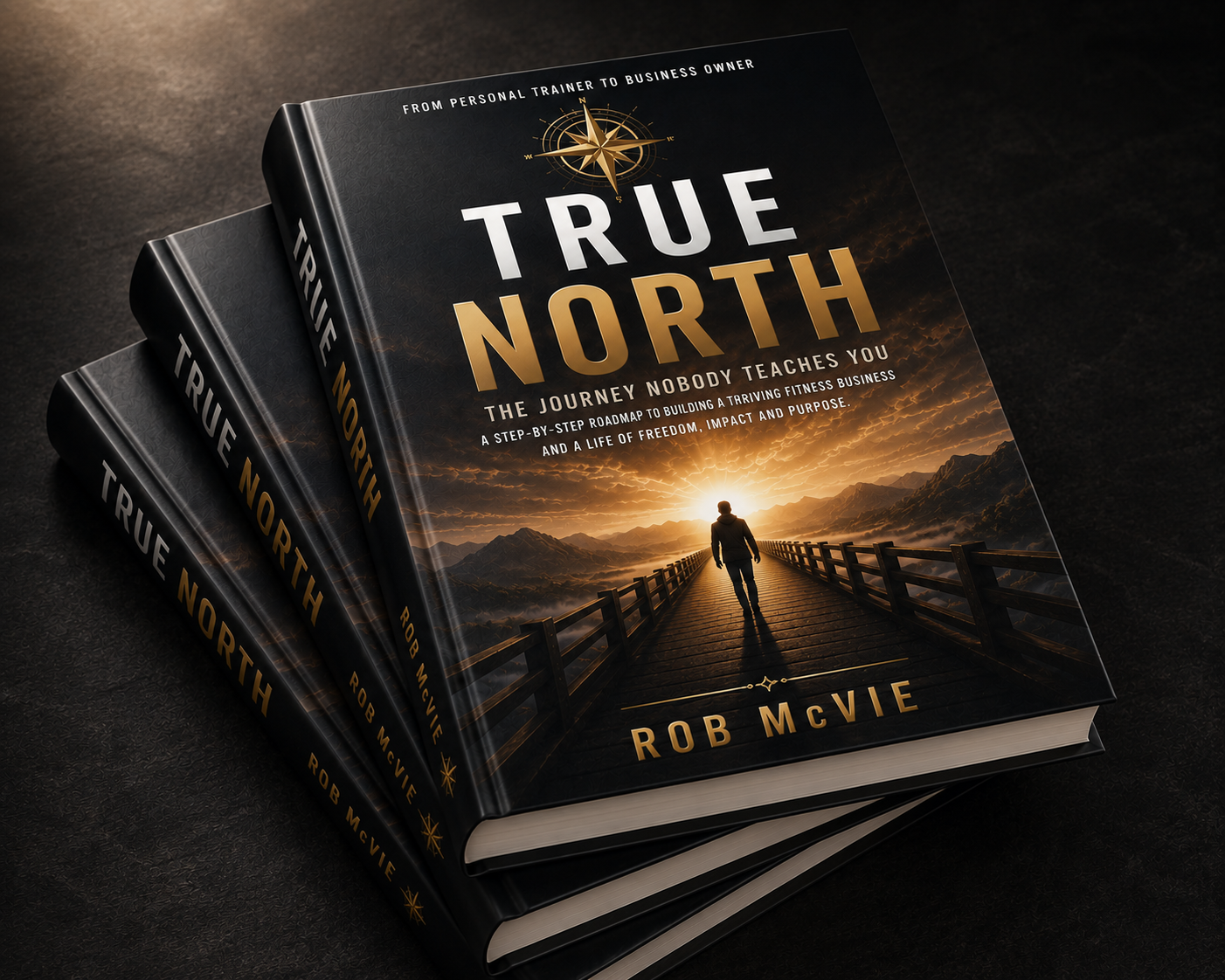 True North by Rob McVie — hardback book cover
